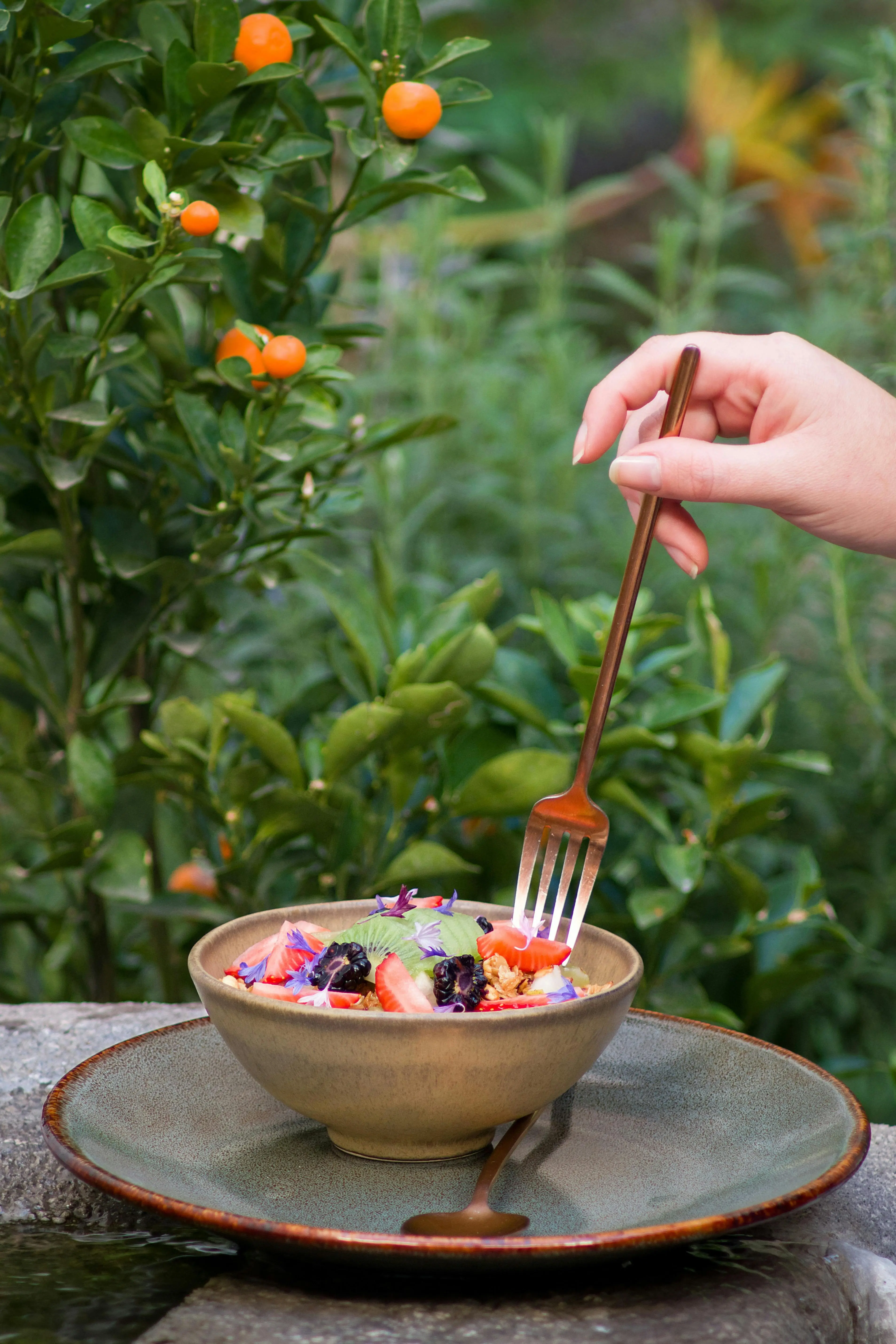 Lebih dari Sekadar Segar: Mengapa Salad Buah Campuran Berry Adalah Pilihan Sehat Harian