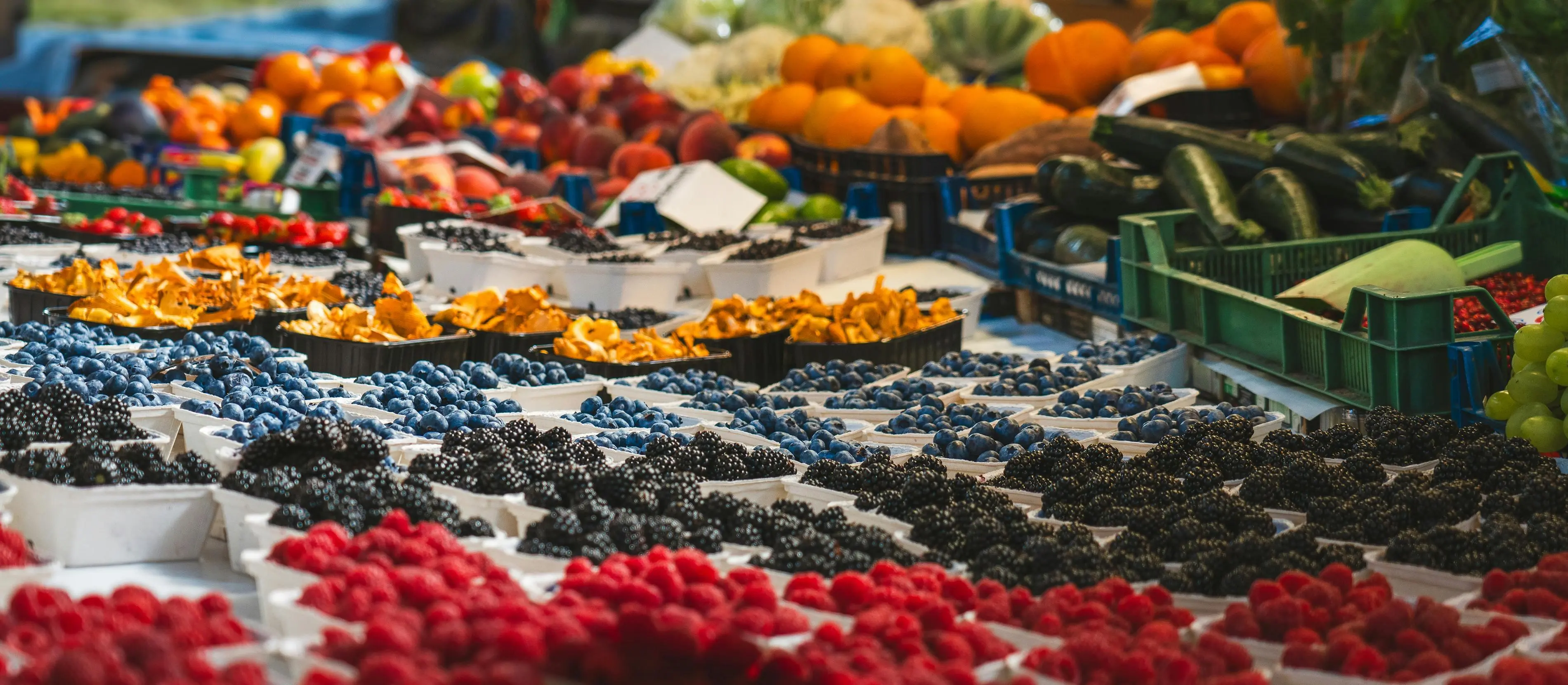 Manfaat Konsumsi Buah Berry untuk Sistem Imun Tubuh