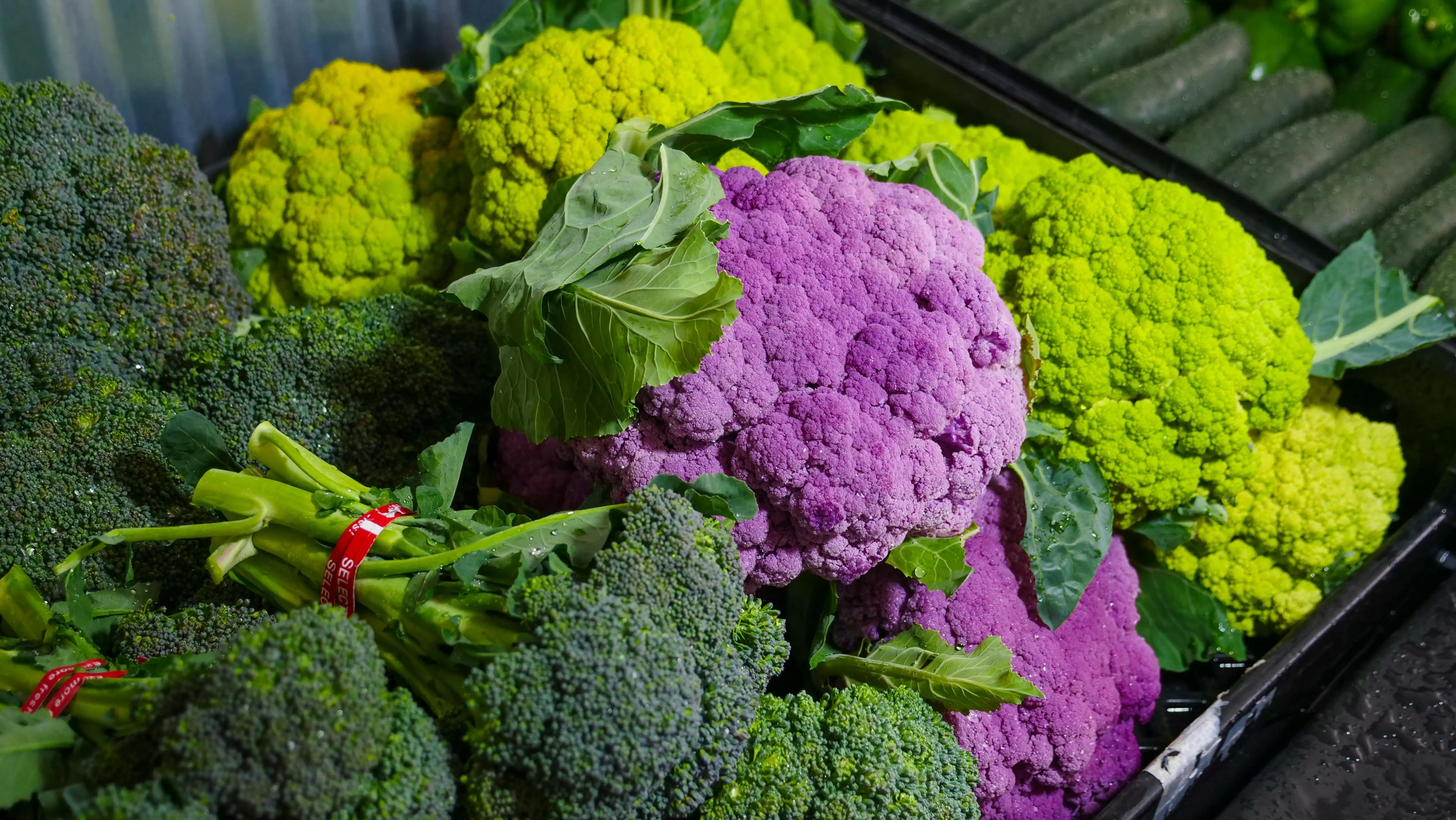 Kalsium Nabati Terbaik: Brokoli, Solusi Sehat untuk Diet Vegan dan Intoleransi Laktosa