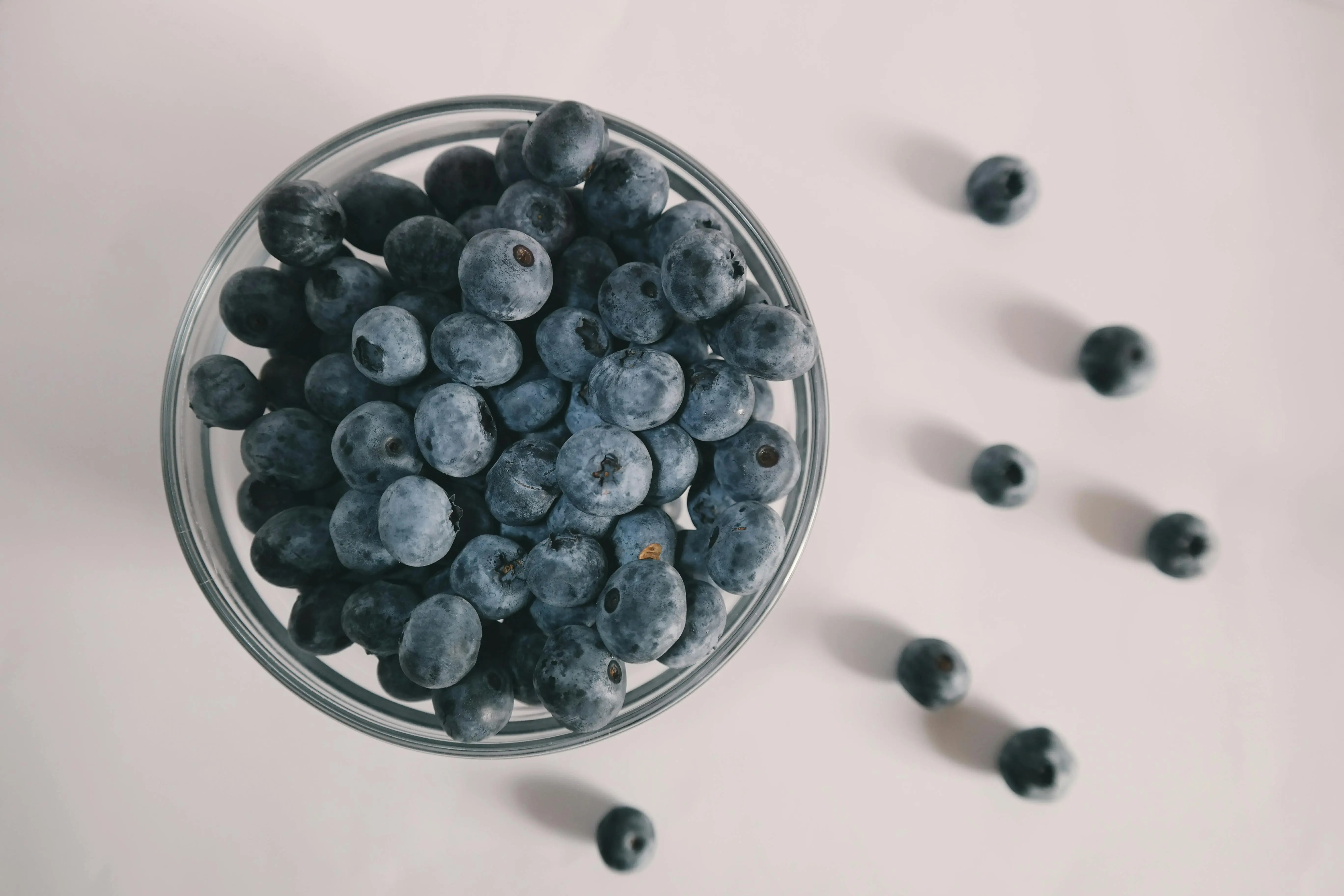 Blueberry untuk Membantu Menjaga Fungsi Memori Lanjut Usia