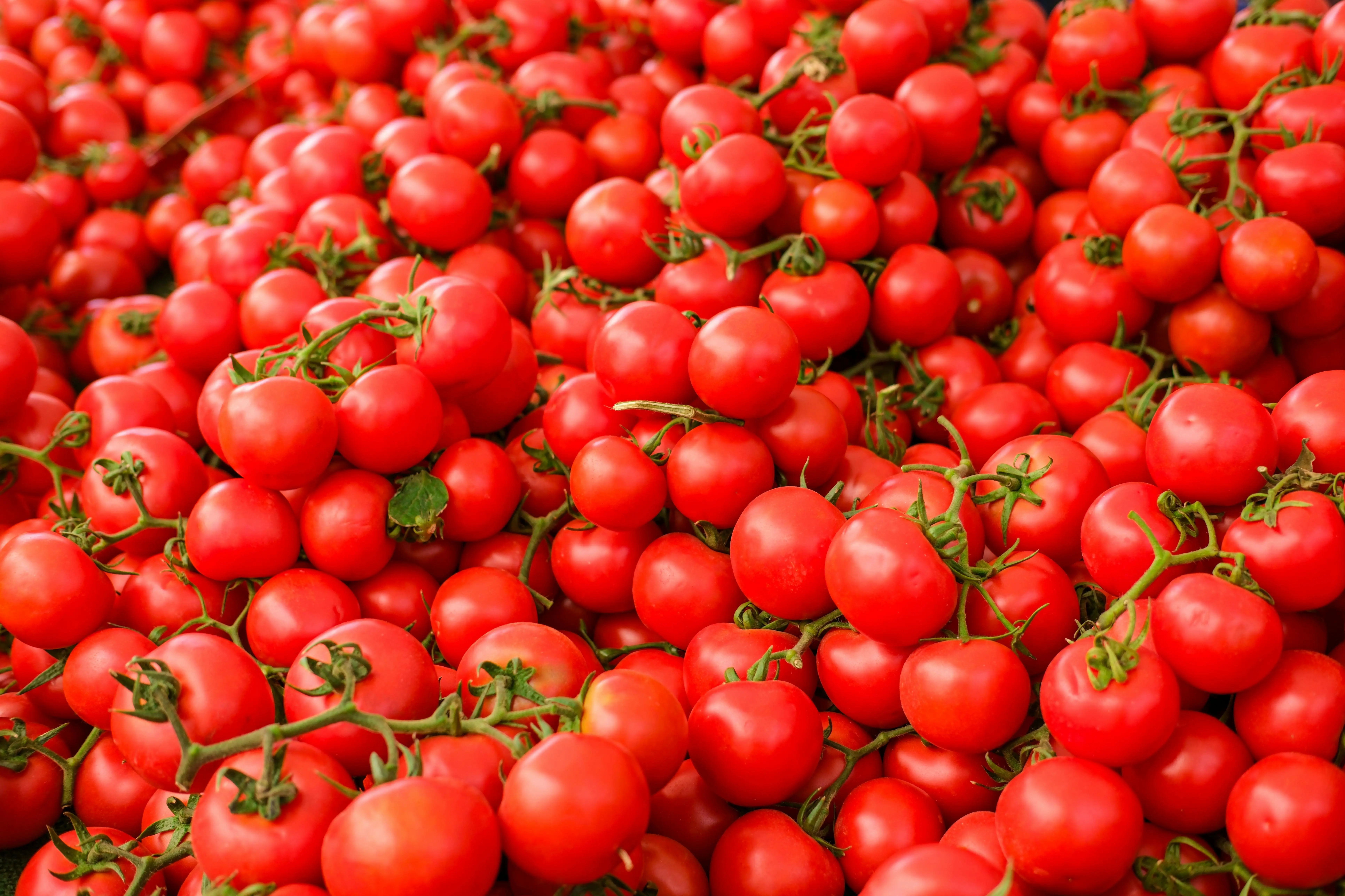 Cara Simpel Bekukan Tomat Utuh atau Cincang, Stok Bahan Dapur Anti Ribet