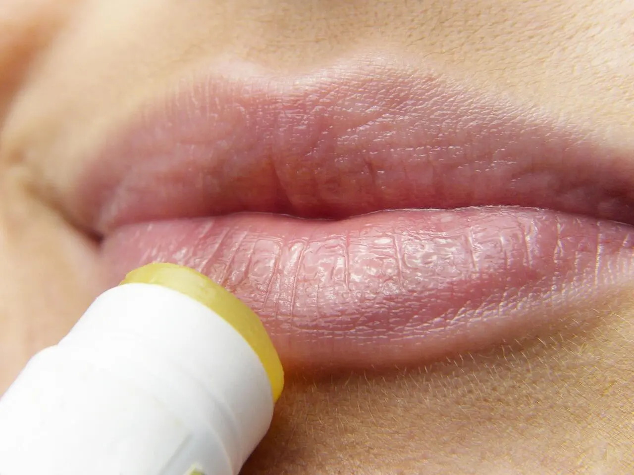 Cuma Modal Tomat: Resep Lip Balm Super Antioksidan yang Bikin Bibir Plumpy