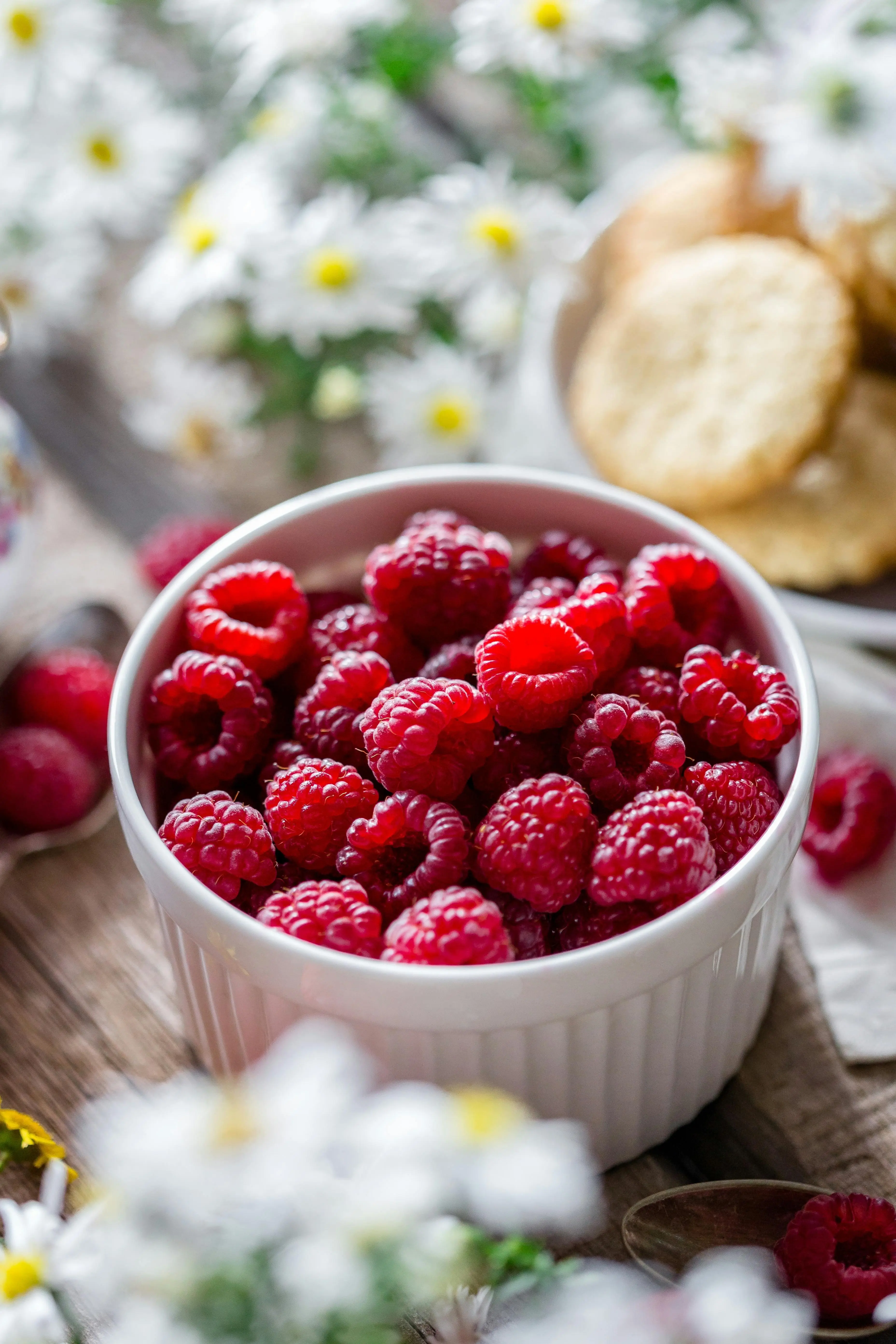 Raspberry dan Potensi Pencegahan Kanker