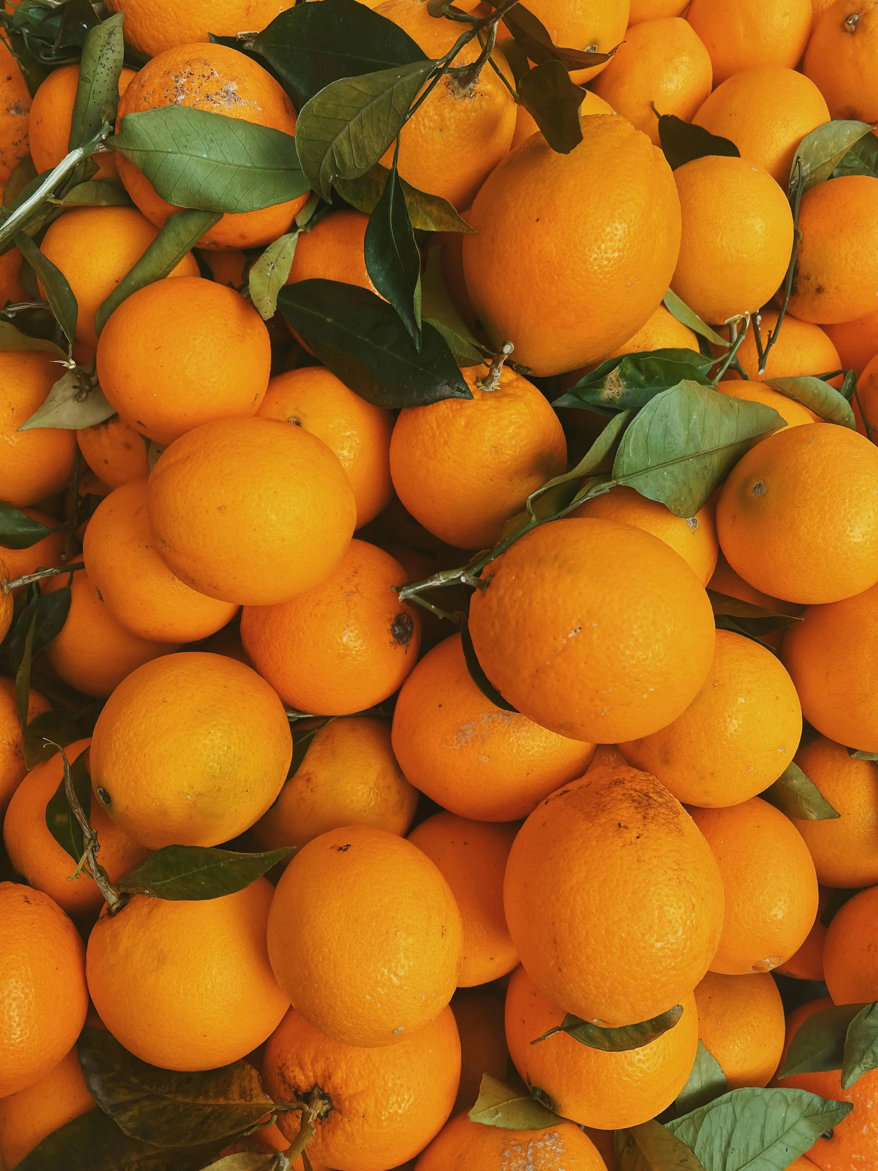 Inilah Alasannya Mengapa Flavonoid dari Jeruk Menjadi Incaran Ilmuwan Kesehatan