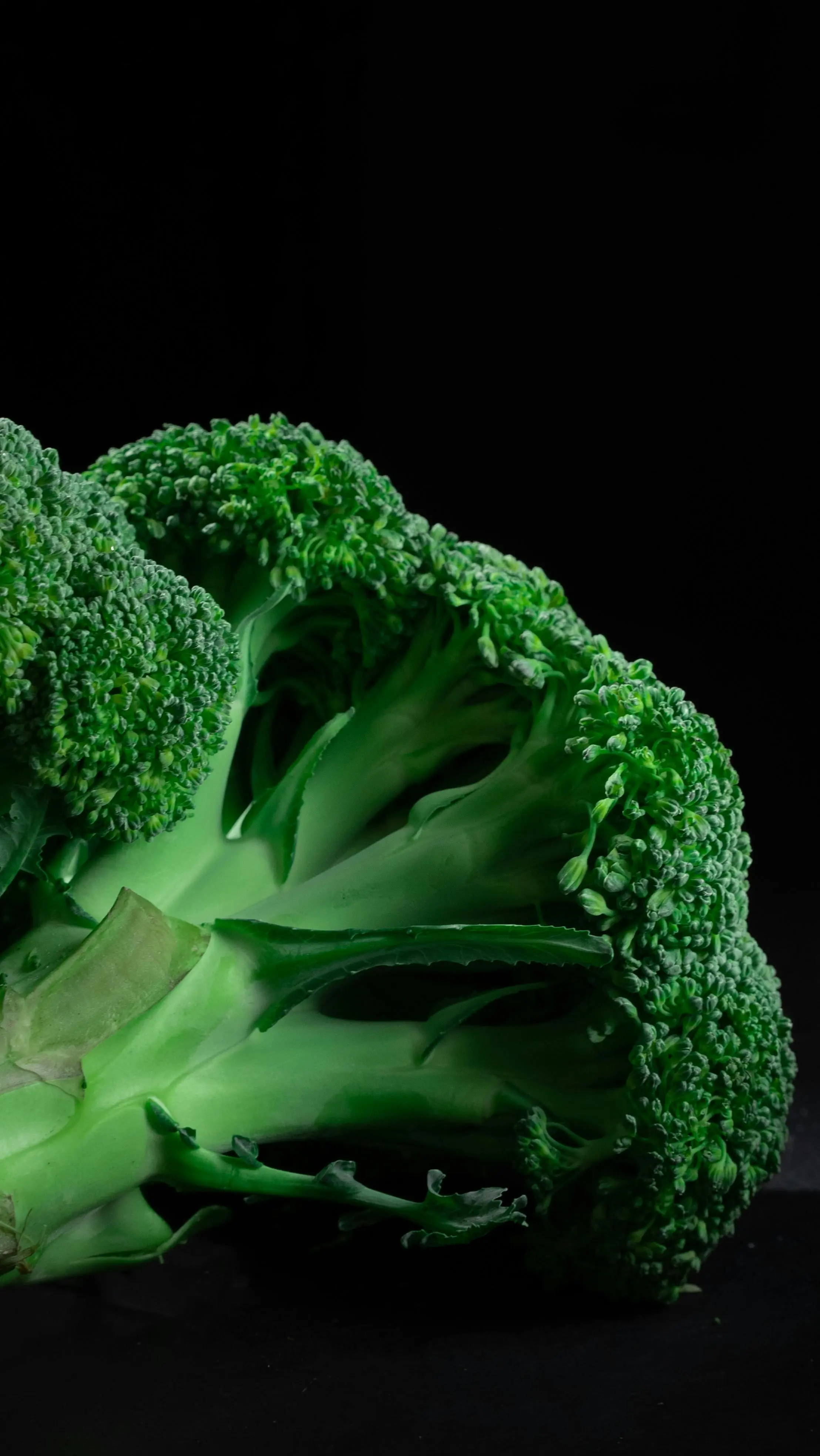 Bukan Sekadar Sayuran, Inilah Mengapa Brokoli Adalah Brain Food Terbaik untuk Meningkatkan Konsentrasi